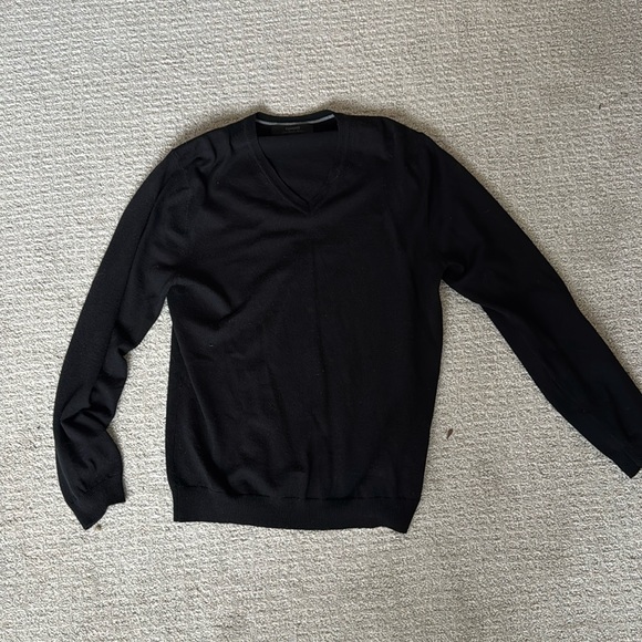Express Other - Express men’s v-neck merino wool sweater